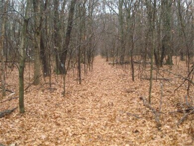 6.41 acres of HIGH AND DRY buildable land, bring y