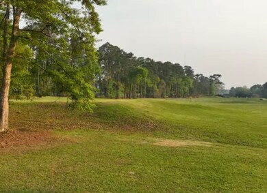 2502 Double Eagle Ct, Tallahassee, FL 32312 - photo 3