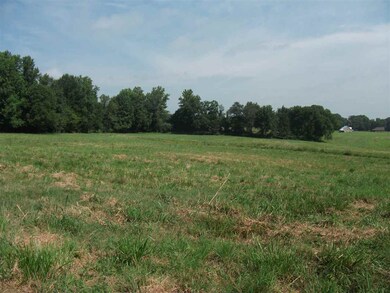 830 Braden Rd, Mason, TN 38049 - photo 3