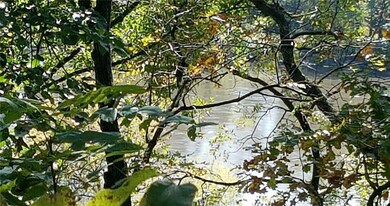 Cedar River View