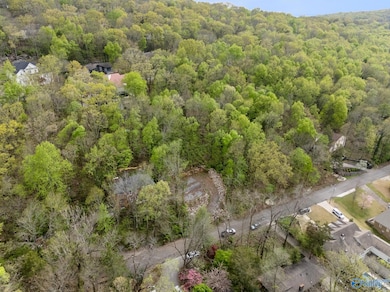 2208 Colice Rd SE, Huntsville, AL 35801 - photo 4