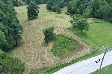 7360 Pleasant Ridge Rd, Sparta, TN 38583 - photo 7