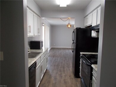 Open kitchen into great room.