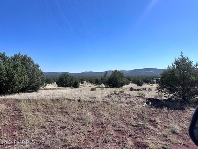 1611 W Yukon Dr, Ash Fork, AZ 86320 - photo 5