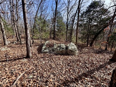 TBD Old Cabin Rd, Winslow, AR 72959 - photo 5