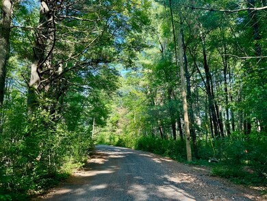 82 Elm St, Franklin, MA 02038 - photo 4