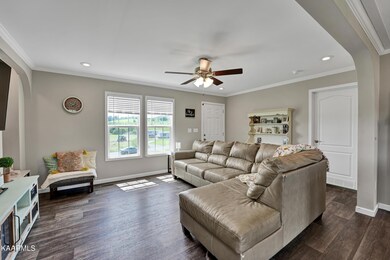 1431 Howell River Rd, Rutledge, TN 37861 - photo 5