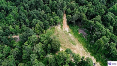 Tract 13 Cook Ln, Cromwell, KY 42333 - photo 6