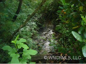 Creek on property