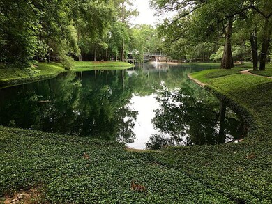 51 Litchfield Ln, Houston, TX 77024 - photo 4