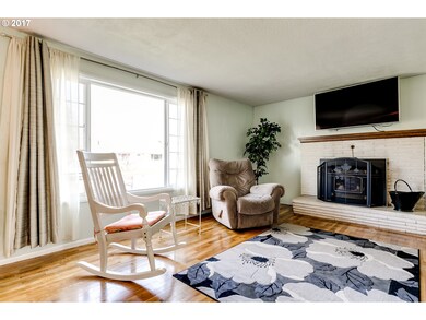 Fireplace Pellet Stove