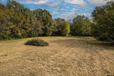 252 Vz County Road 1502, van, TX 75790 - photo 6