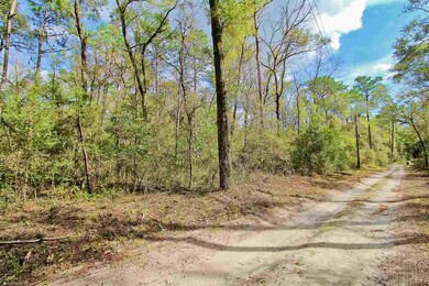 0 San Peoro Dr unit 315966, Crawfordville, FL 32327 - photo 3