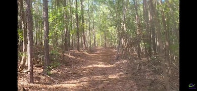 101 Mission Farm Rd, Gordon, GA 31031 - photo 6