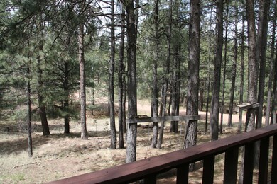 View from Deck