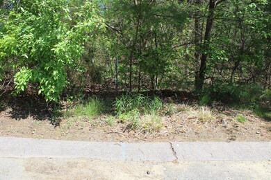 5 Paddock Ln, Millis, MA 02054 - photo 4