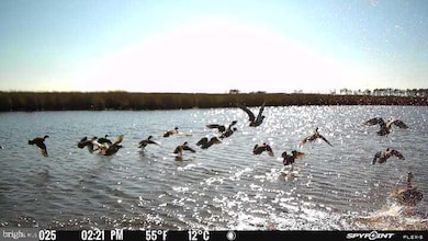 3241 Robbins Rd, Crapo, MD 21626 - photo 2