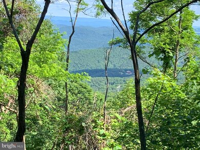 0 Nathaniel Mountain Rd unit WVHD106070, Moorefield, WV 26836 - photo 7