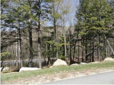 7 (Lot 31) Hemlock Dr, Lincoln, NH 03251 - photo 2