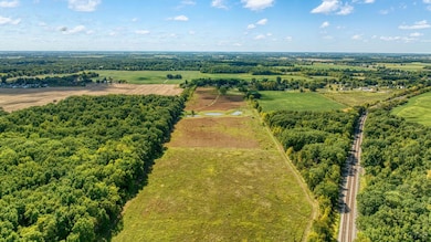 1704 E Carleton Rd, Adrian, MI 49221 - photo 5