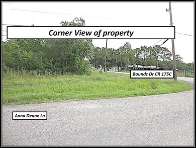 0 Bounds Dr Cr 176c 175c unit 9117594, Alvin, TX 77584 - photo 2