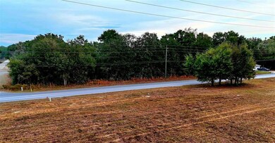 0 SW 140th Ave unit MFROM714614, Dunnellon, FL 34432 - photo 4