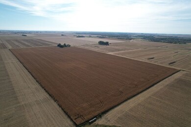 1229 Township Road 1800e, Biggsville, IL 61418 - photo 6