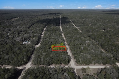 0 Brett Ave unit 25619302, Interlachen, FL 32148 - photo 6