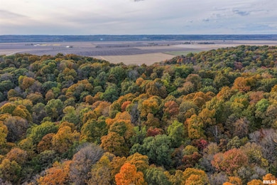 00 Eldred Rd, Richwood Township, IL 62031 - photo 4