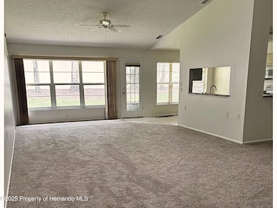 2165 Springmeadow Dr, Spring Hill, FL 34606 - photo 4