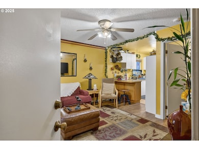 428 N Alberta St, Portland, OR 97217 - photo 5