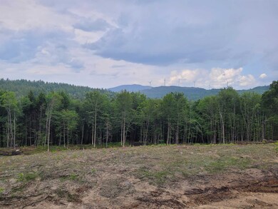 17-18 Halls Brook Rd, Groton, NH 03266 - photo 4