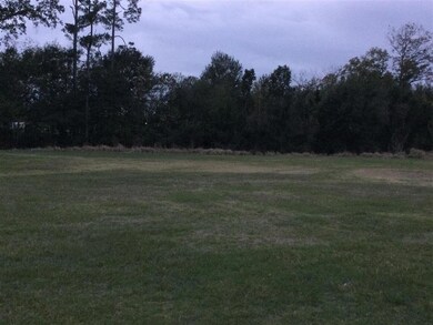 0 Trina Ln, Sulphur, LA 70663 - photo 5