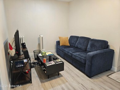 155 Chestnut St unit 2, Albany, NY 12210 - photo 5