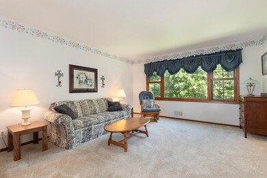 4850 Independence St, Maple Plain, MN 55359 - photo 6