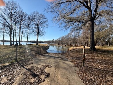 346 Bragg Drive Bragg Dr, Hemphill, TX 75959 - photo 4