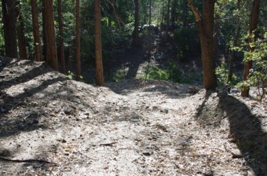 Looking down to seasonal stream