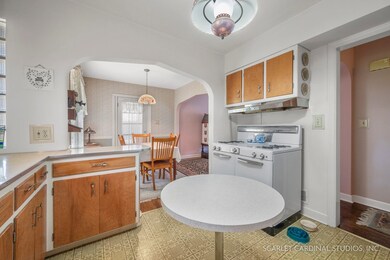 332 N Shady Ln, Elmhurst, IL 60126 - photo 7