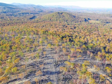 tbd1 Calf Mountain Rd, Waynesboro, VA 22980 - photo 3