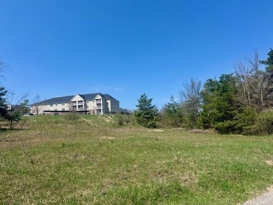 704 Maple Creek Blvd unit 1, Petoskey, MI 49770 - photo 2