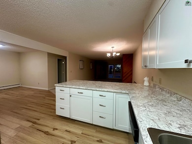 4378 Dartmouth Dr unit 21, Fairbanks, AK 99709 - photo 6