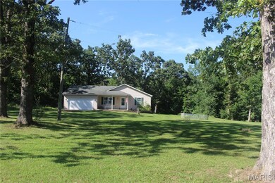3351 Hamilton Town Rd, Doe Run, MO 63637 - photo 5