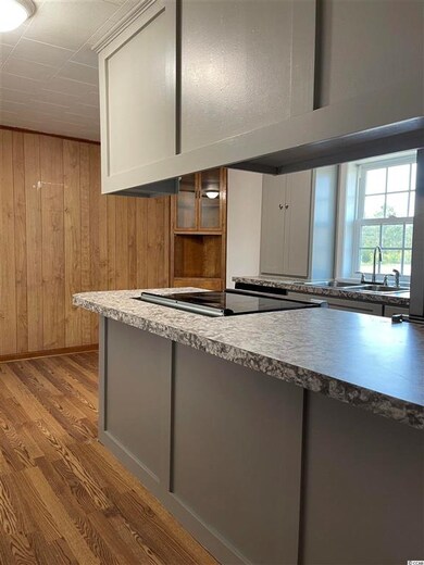 7193 Cartrette Rd, Aynor, SC 29511 - photo 3