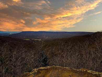 0 Raulston Falls Rd unit RTC3049508, Jasper, TN 37347 - photo 2