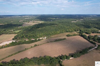 442 Tavern Creek Rd, Iberia, MO 65486 - photo 6