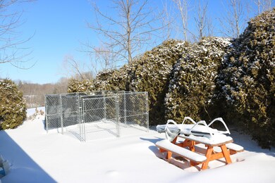 BackYard1