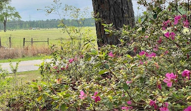 6336 North Rd, North, SC 29112 - photo 2