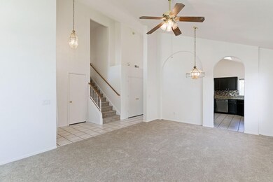 NEW CARPET
