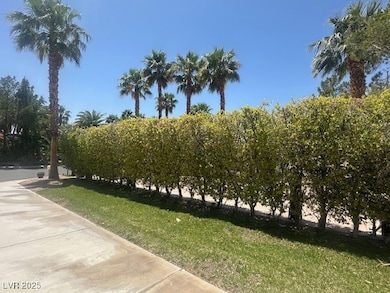 View of green lawn