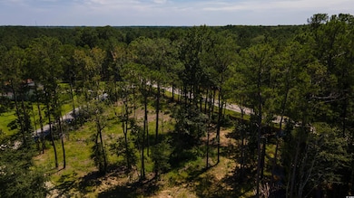 3598 Steamer Trace Rd, Conway, SC 29527 - photo 7